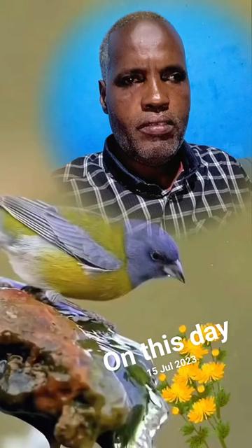 @đ
°ď¸đšđťđâđ¸âđđ¸â ⪠đ¸đ´ âŞ
