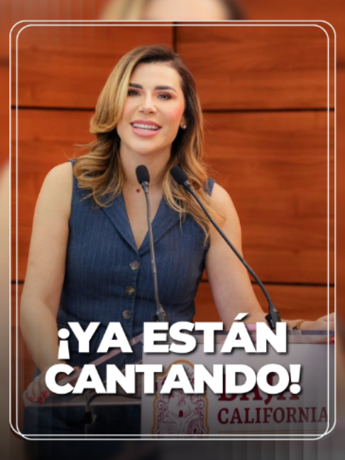 @Luis Cárdenas López