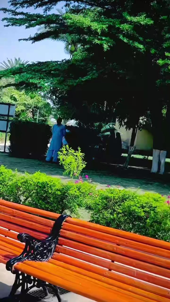 @︻╦デ╤━╼یا مخلص تھی یا یار نہ سڈ