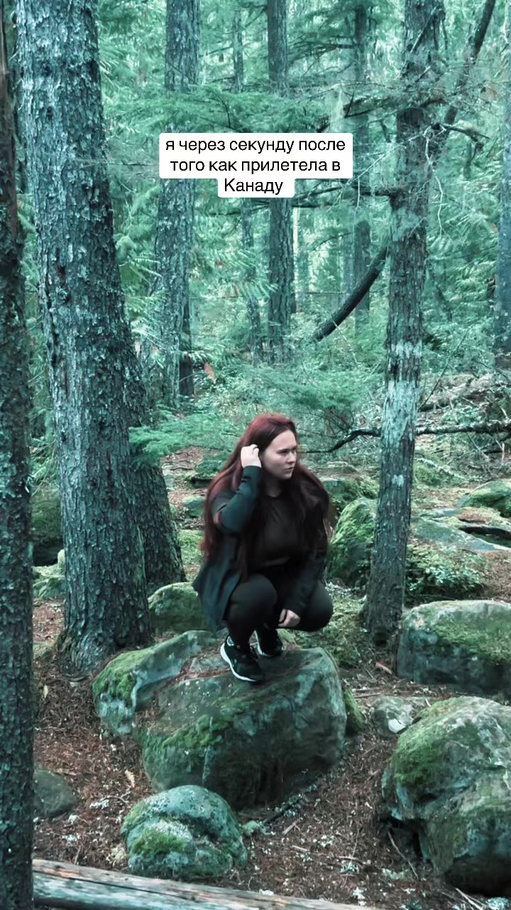 @winivino 🦔