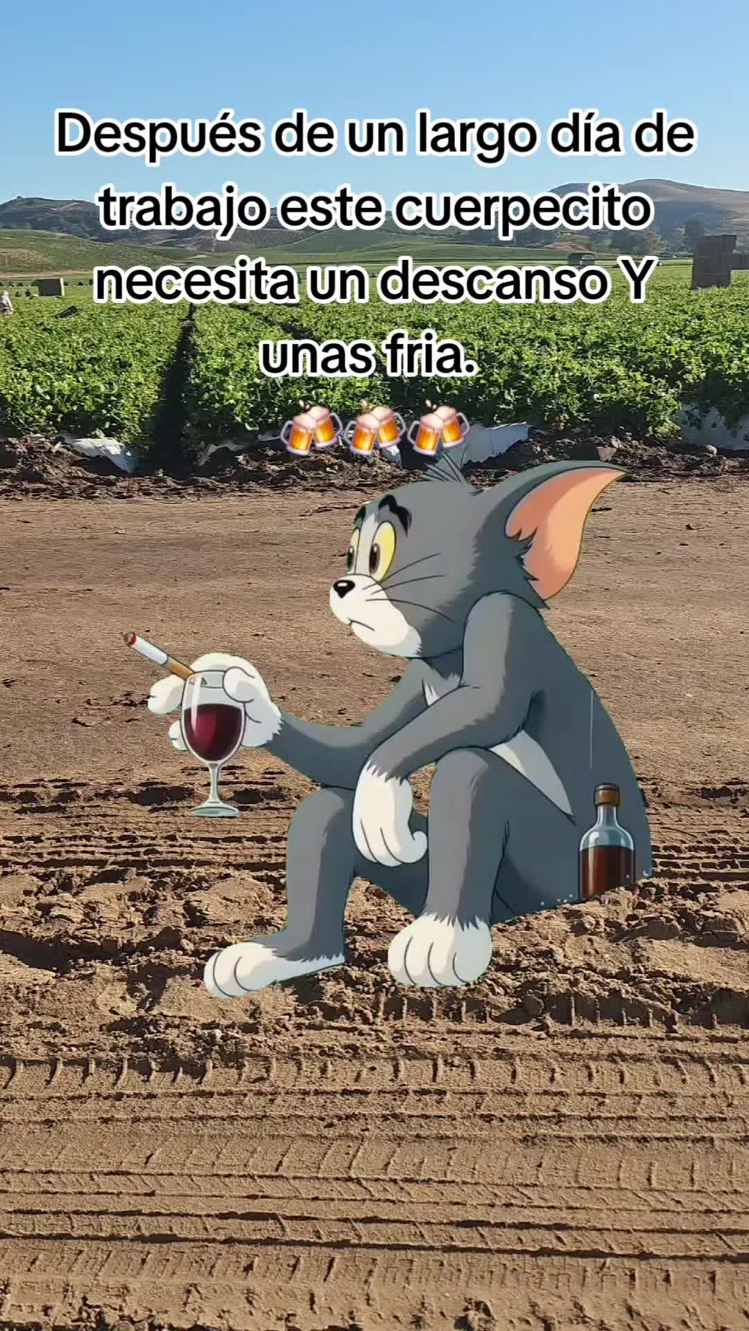 @🇲🇽🐦&zwj;⬛🪺VASQUEZ🚚🌪💎
