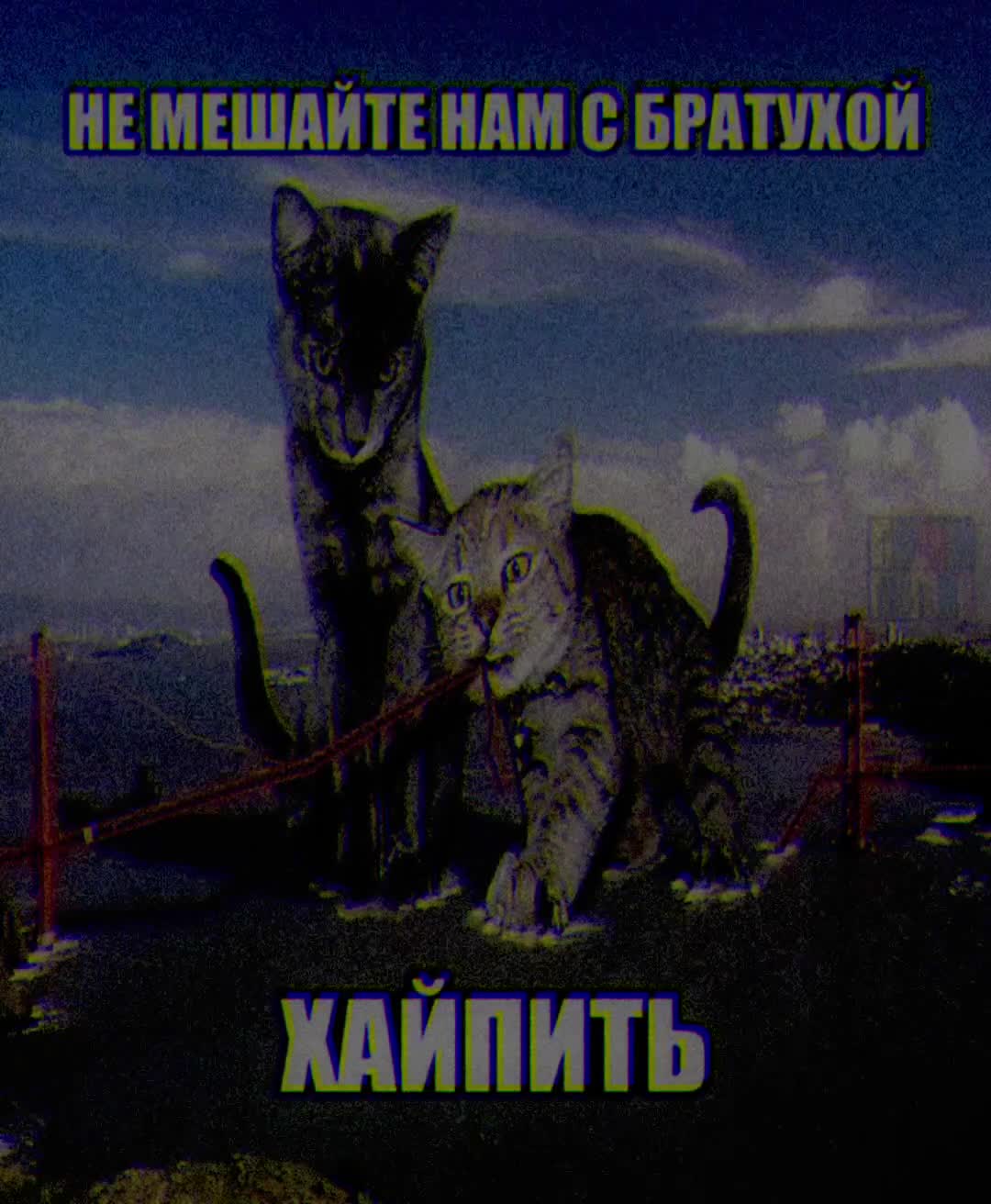 @w8h8