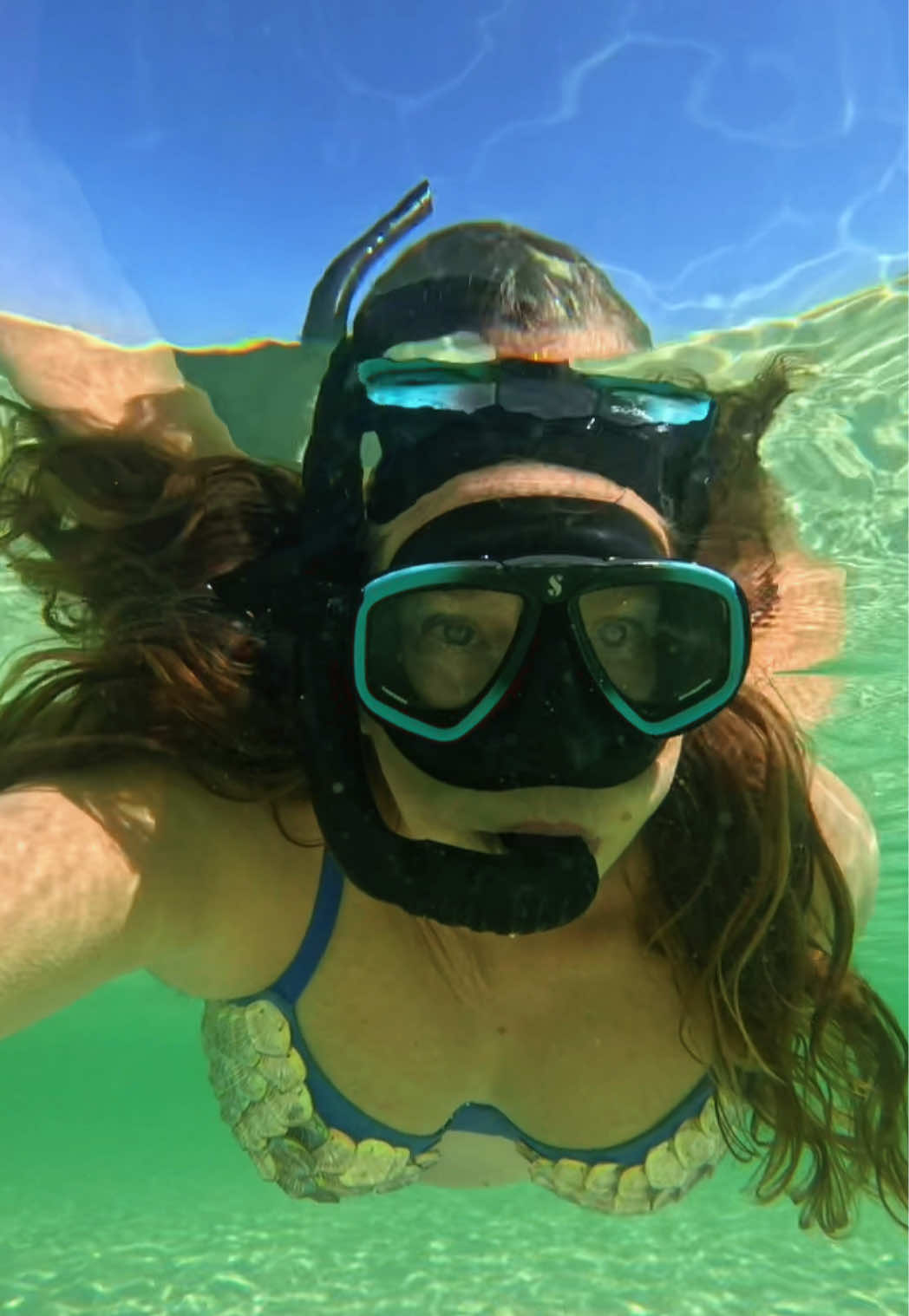 @Gulf Coast Mermaid 🧜&zwj;♀️