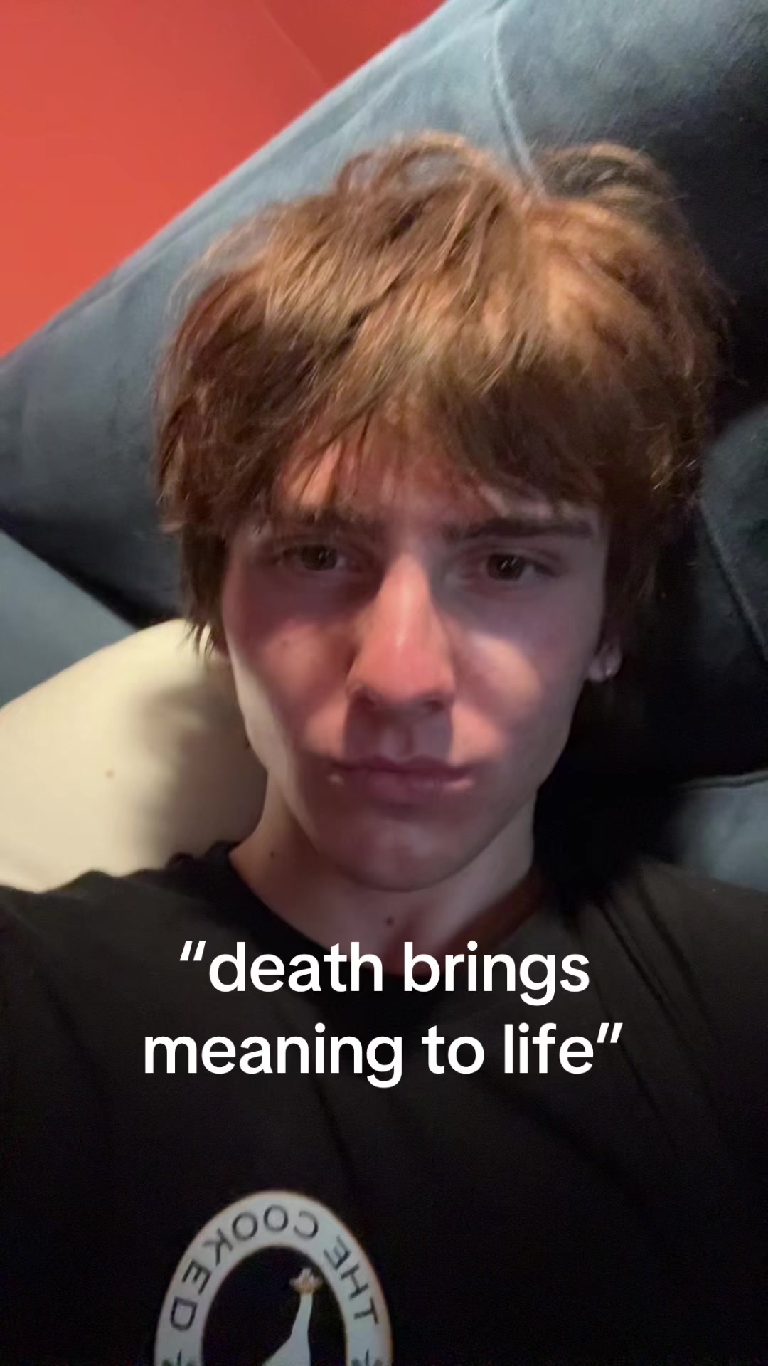 @diegobrandofanboy69