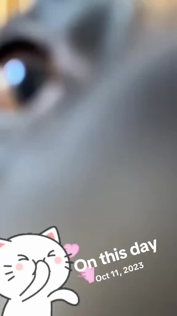 @Amber