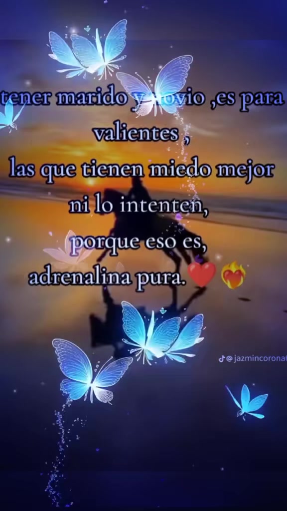 @🫀Chispita🧠 Alegre 💥
