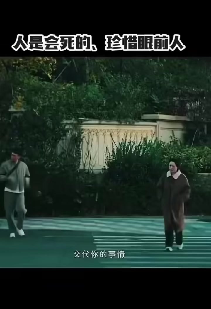 @陳皮