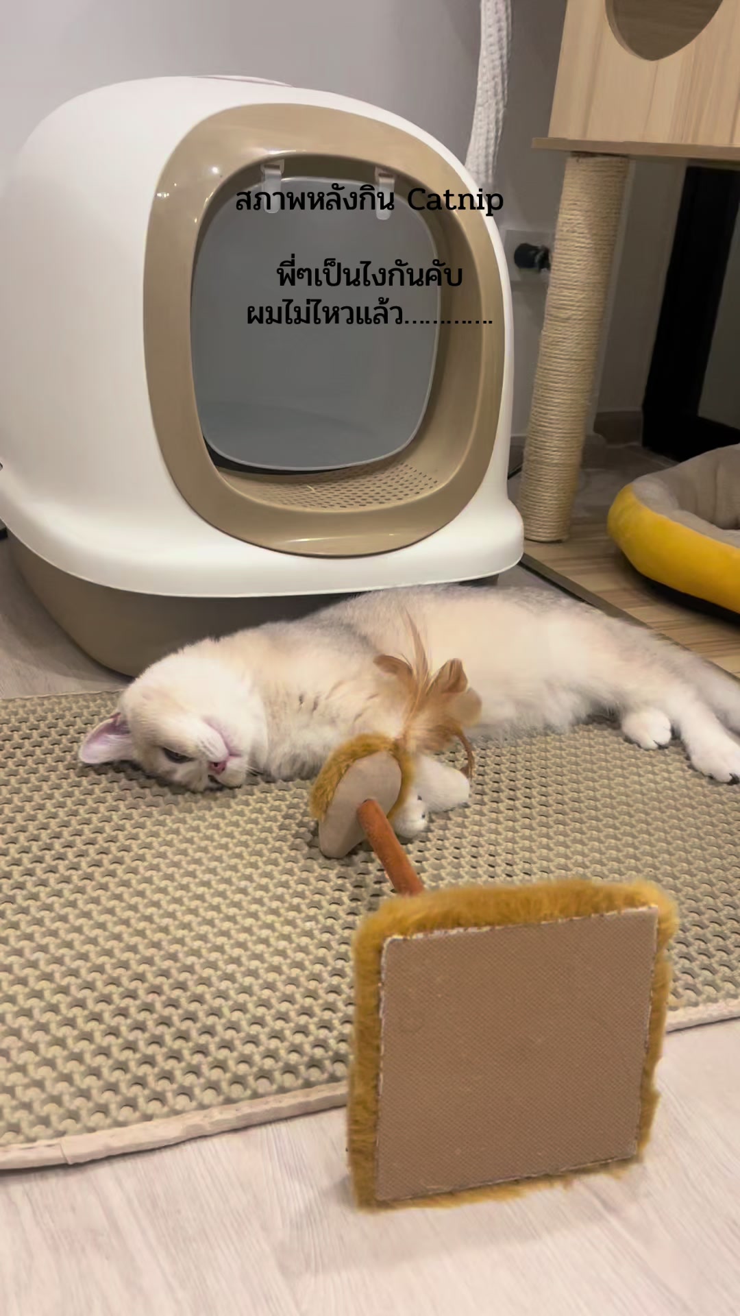 @ฟู่กุ้ย Fugui
