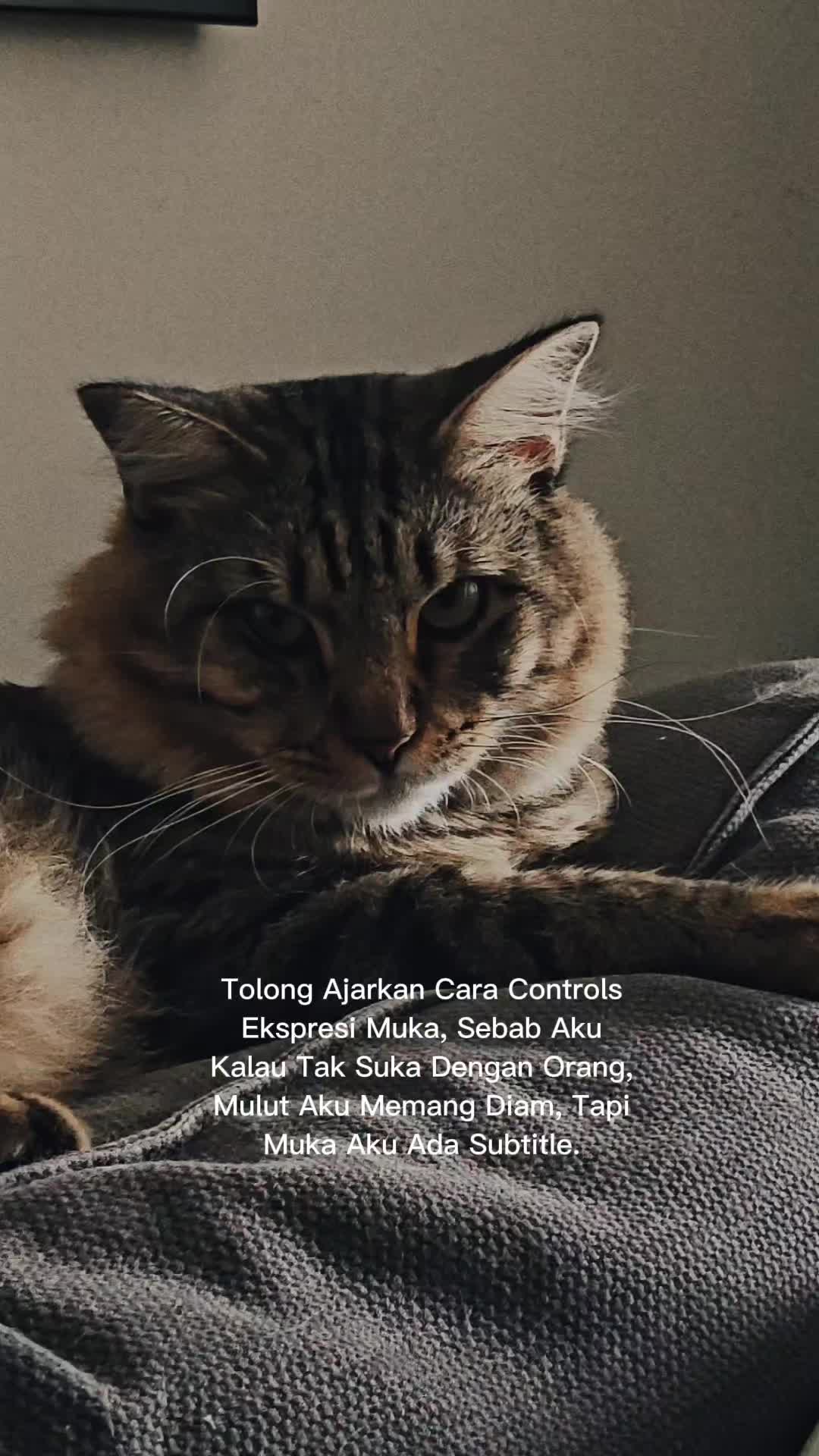 @Syura Abdullah
