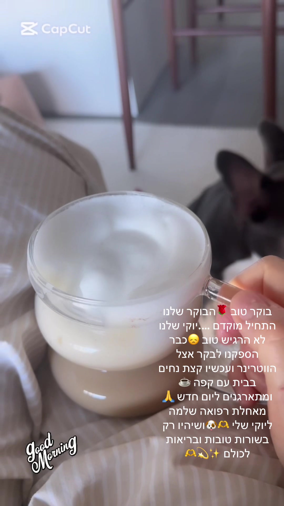 @סטיילינג/ שופרית /הום סטיילינג