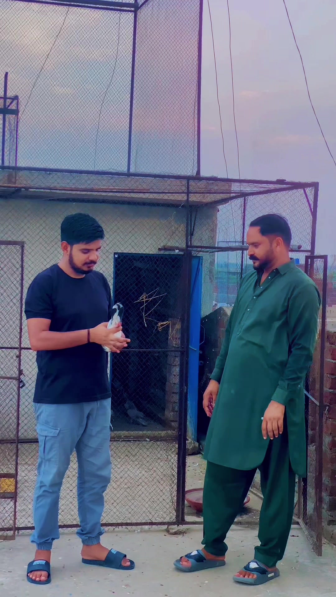 @zAiN gUjJaR
