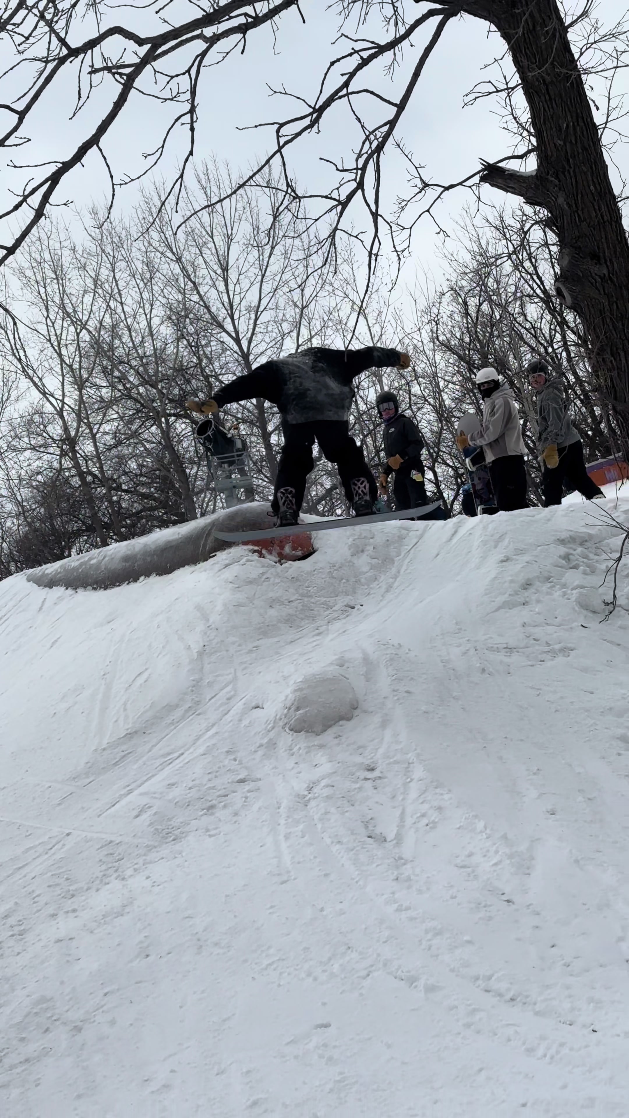 @Shredits