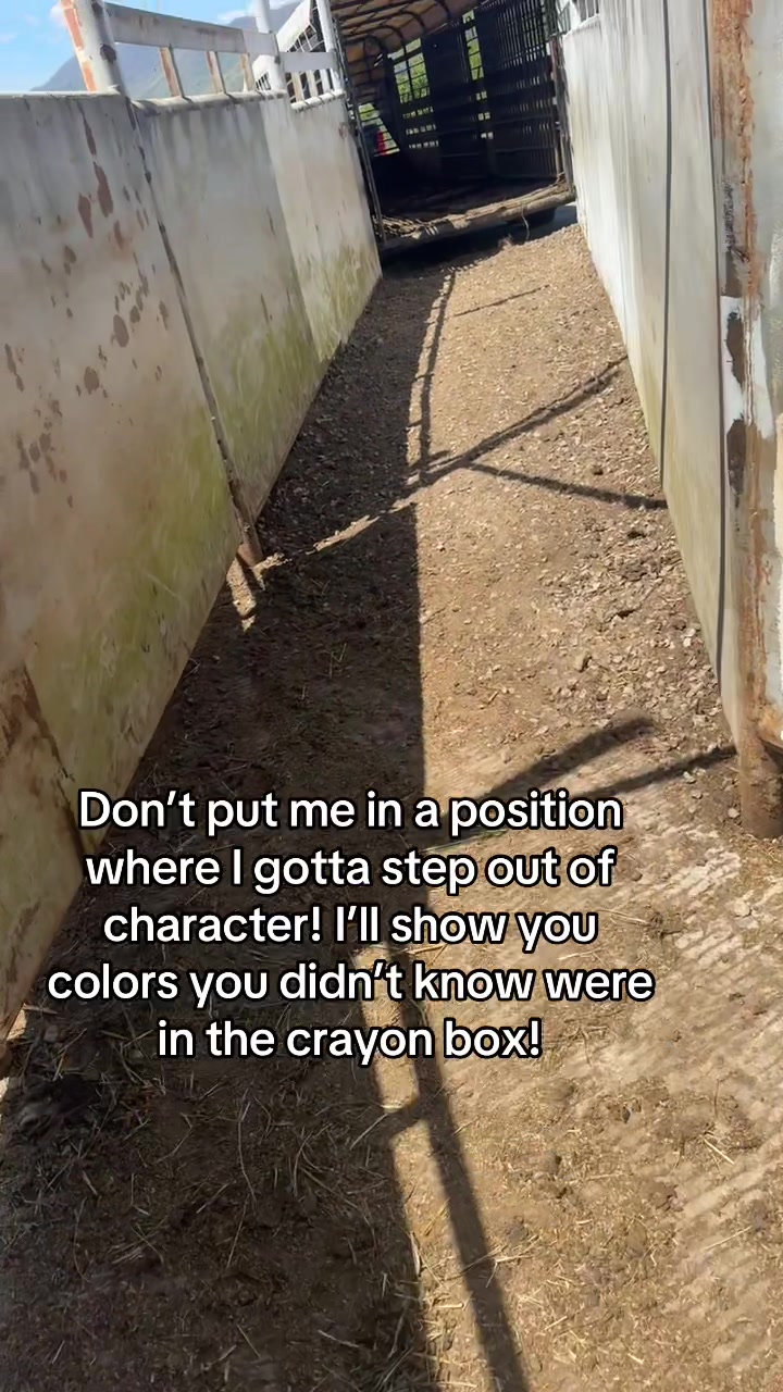 @tripleclivestock