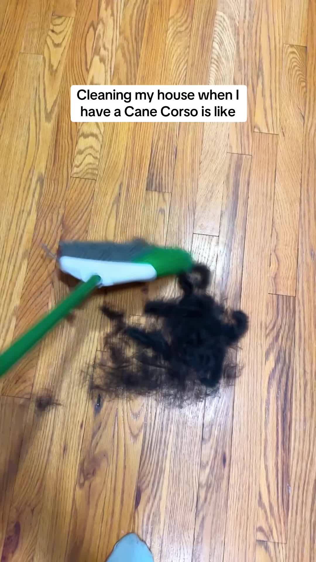 @Bentley Has Issues