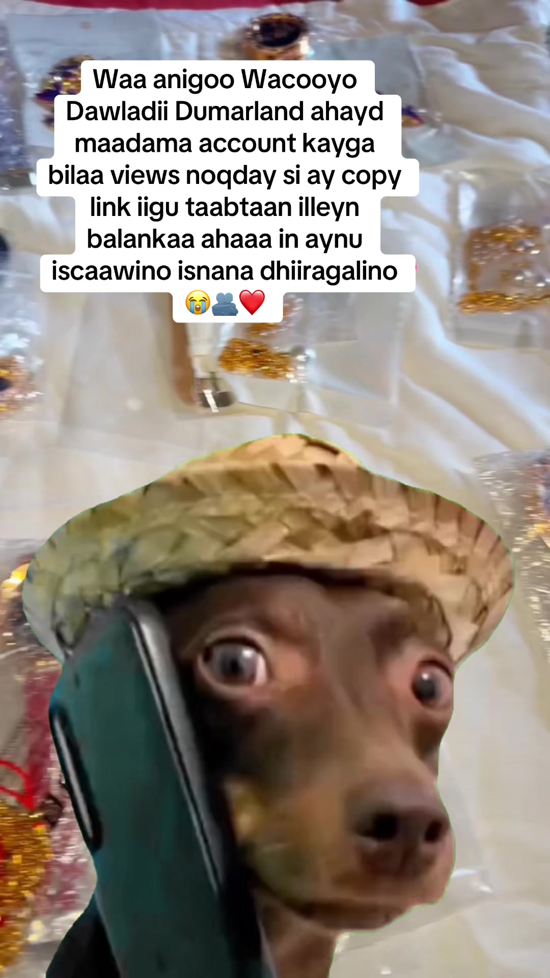 @RIKI-STORE🛍️💖