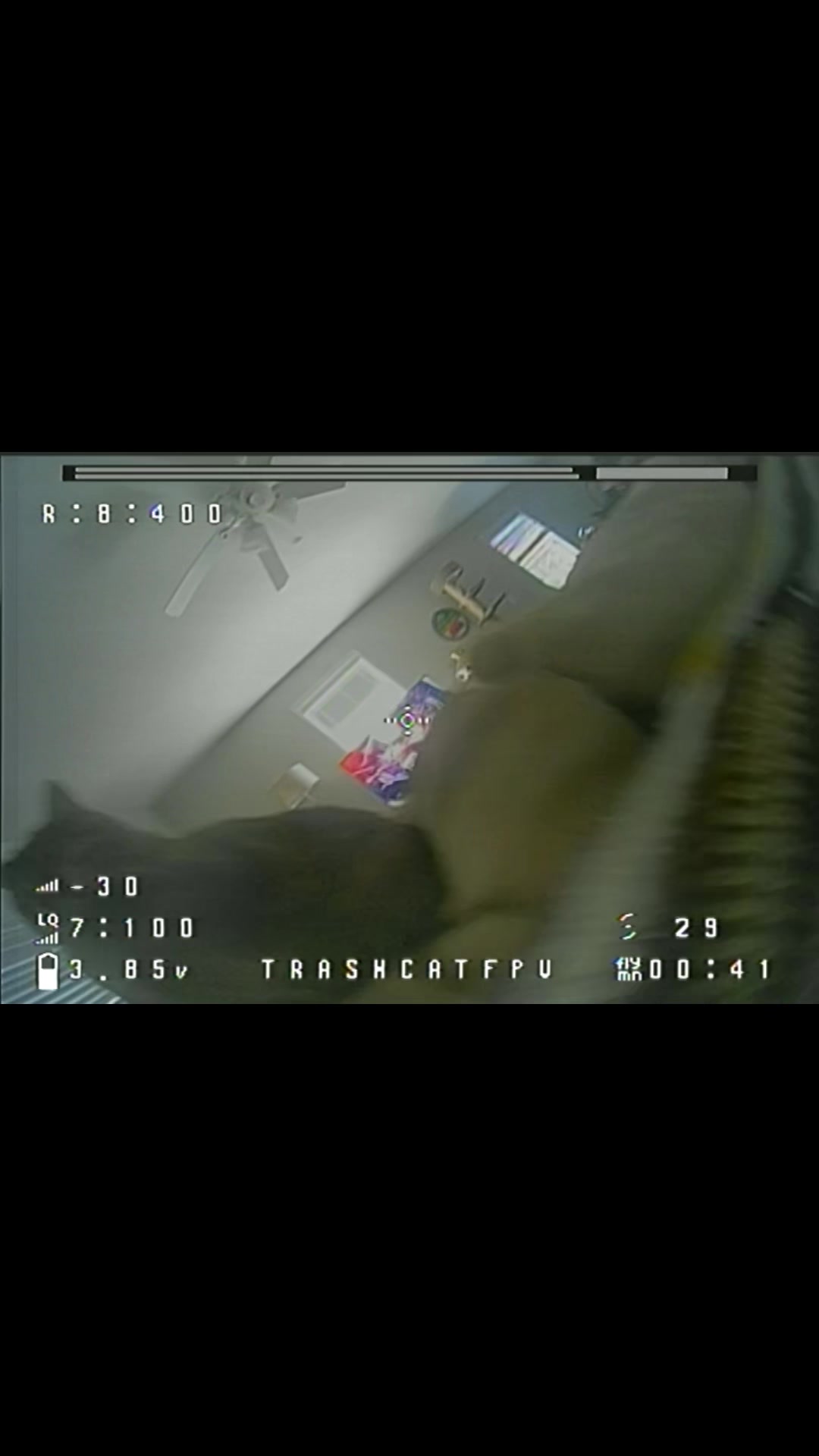 @TrashCatFPV