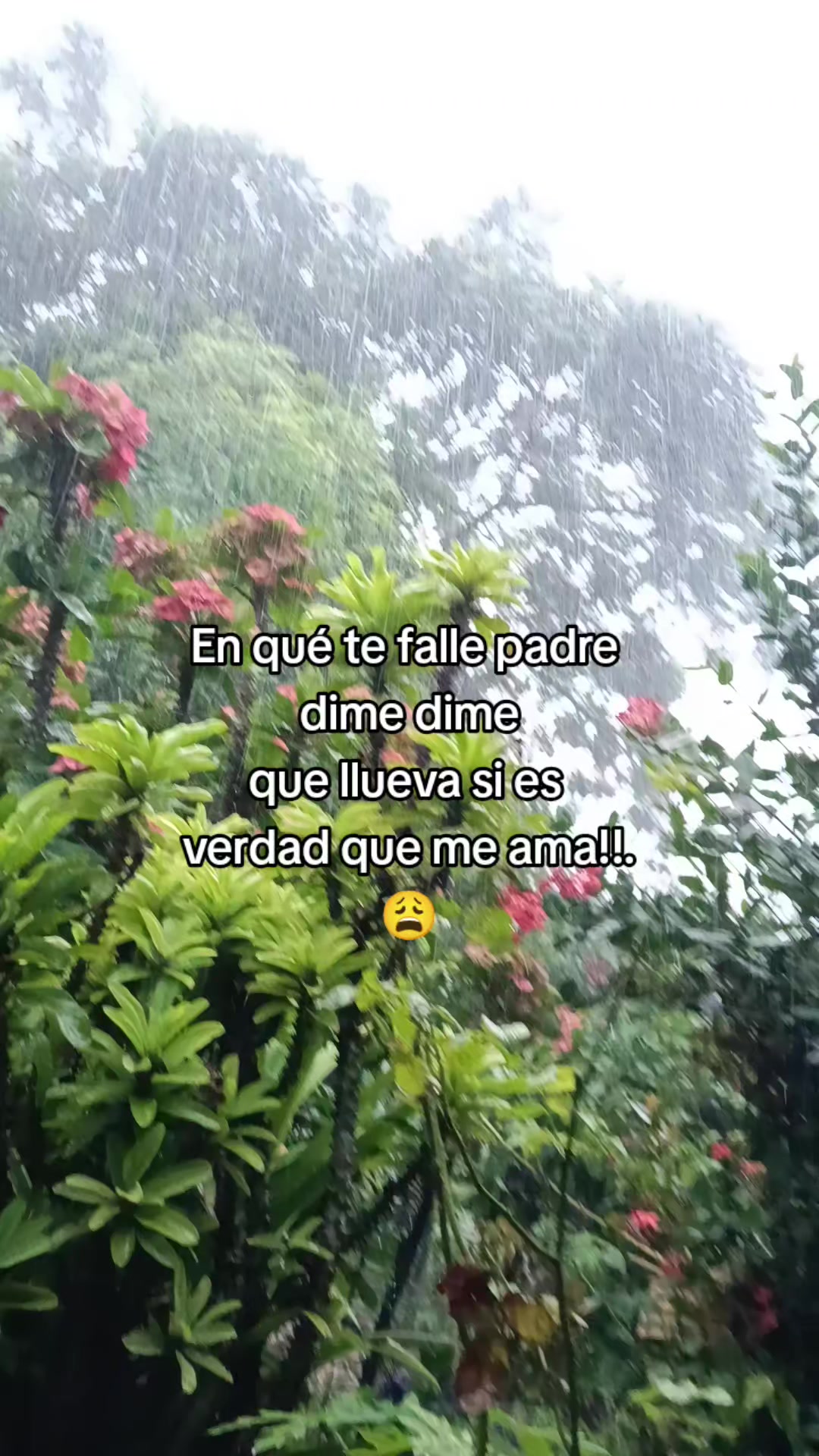 @Sanchez❤️
