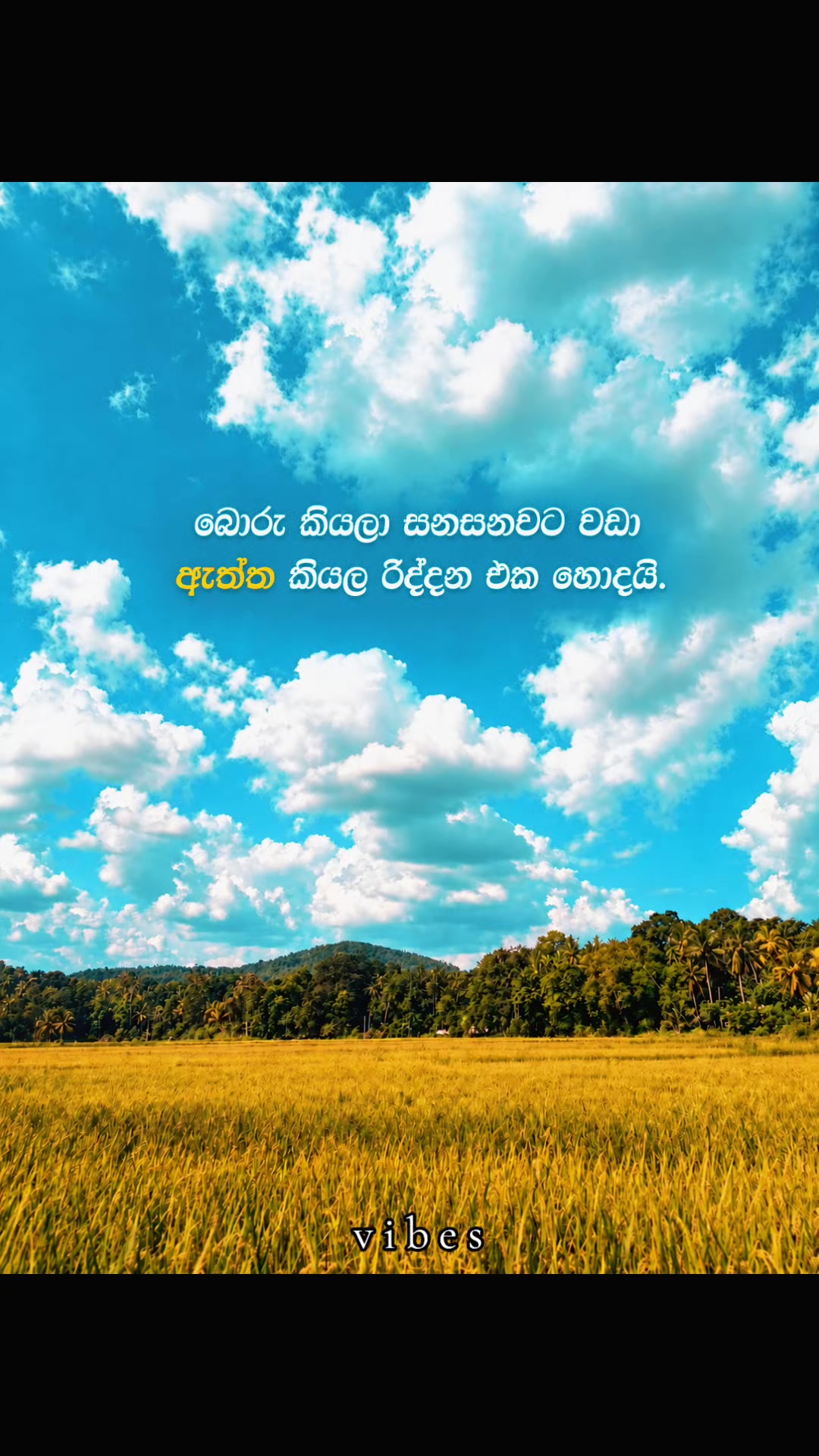 @RokY
