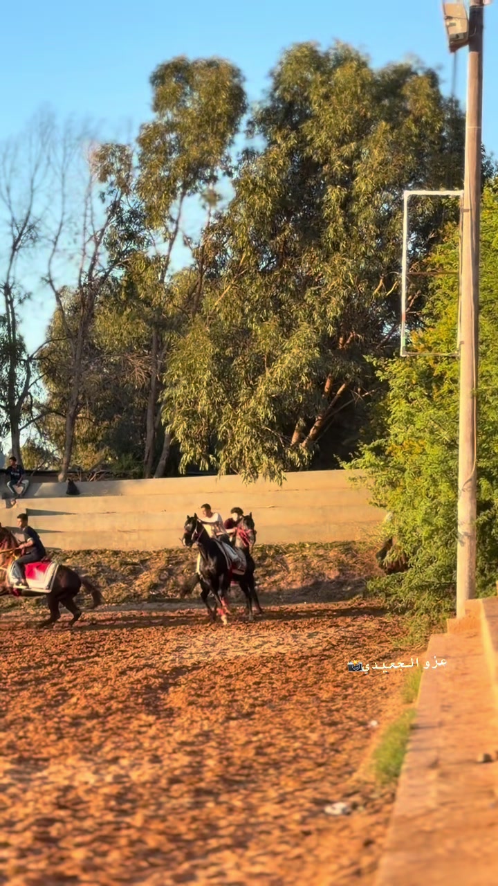 @عزو الجعيدي