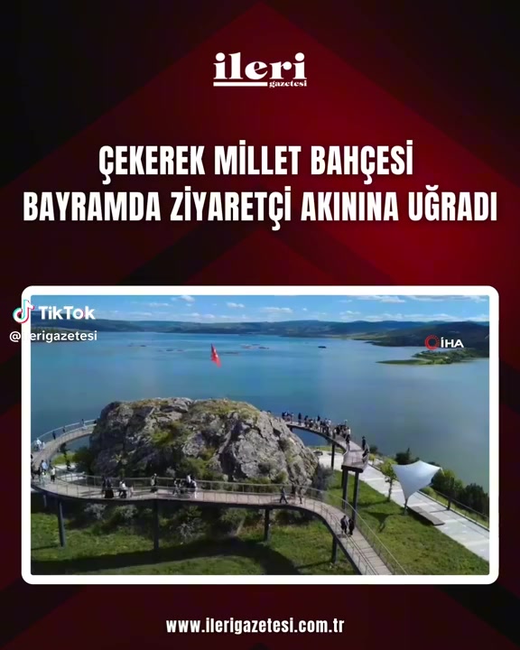 @mesut s&uuml;zener