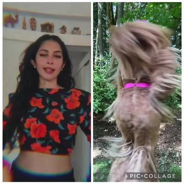 @🐒නටන වදුරා🐒