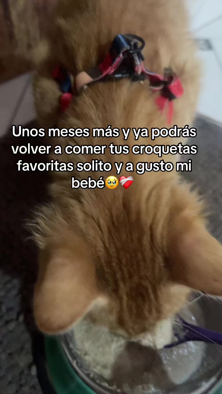 @lettymorales50