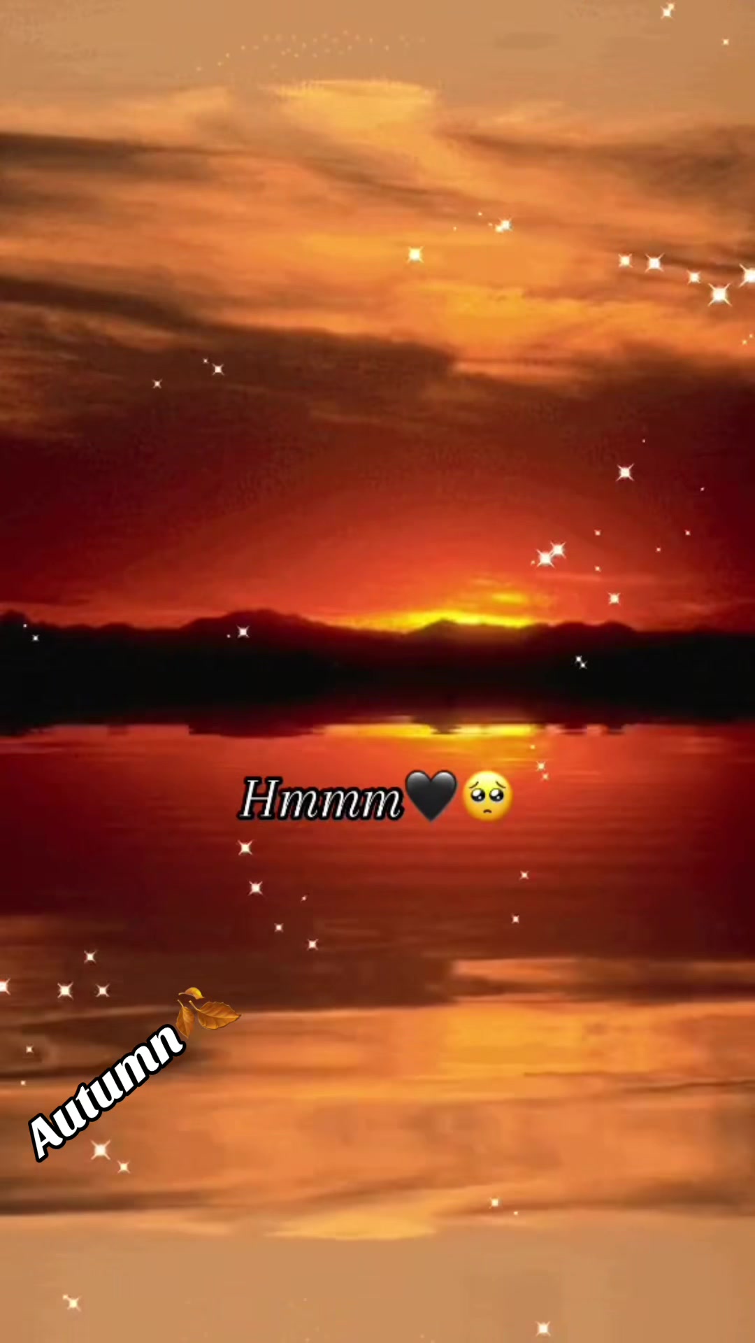 @autumn_1207