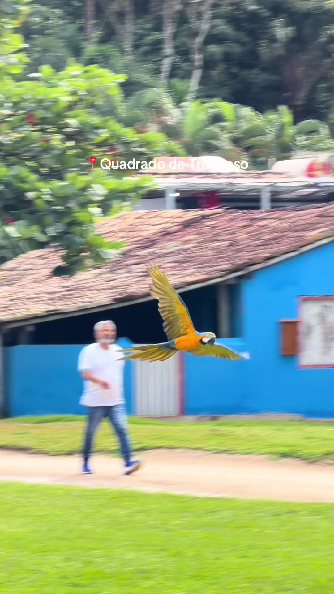 @Trancoso-Bahia
