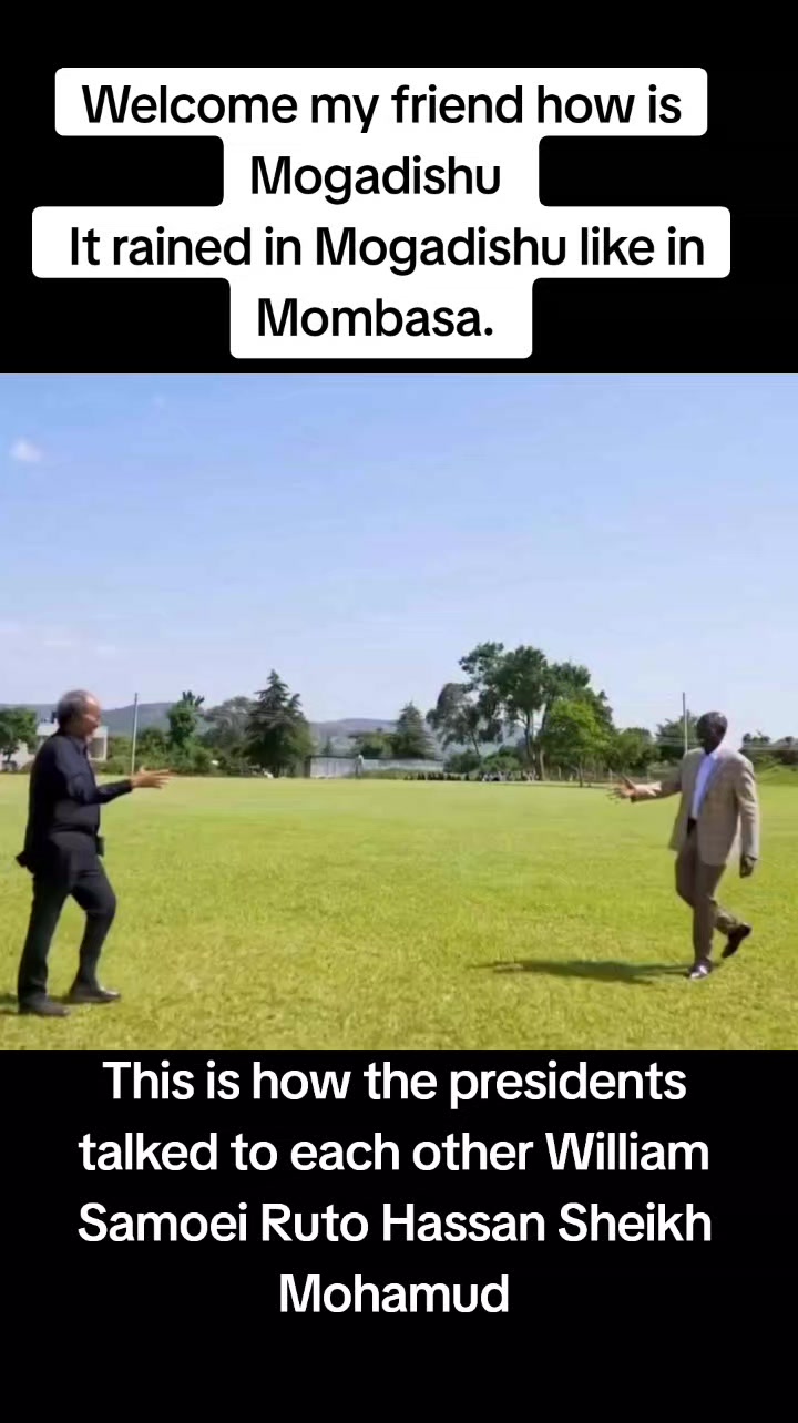 @MCTVMDR