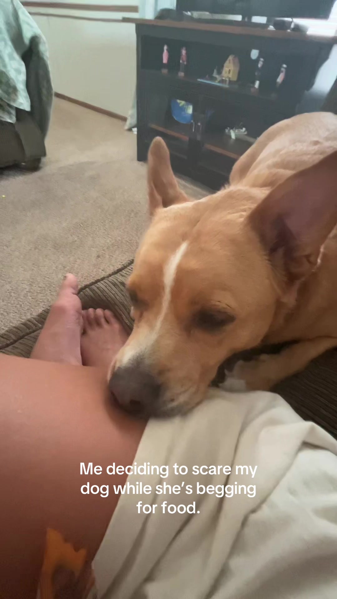 @lillyg