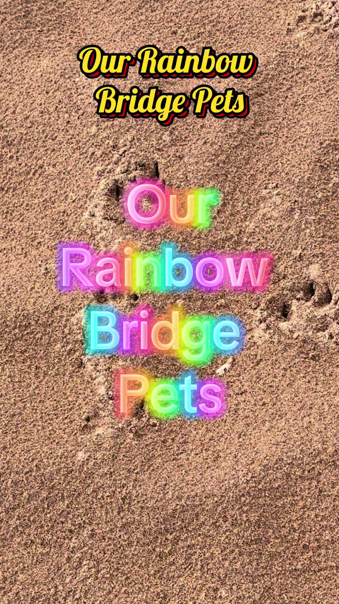 @OurRainbowBridgePets
