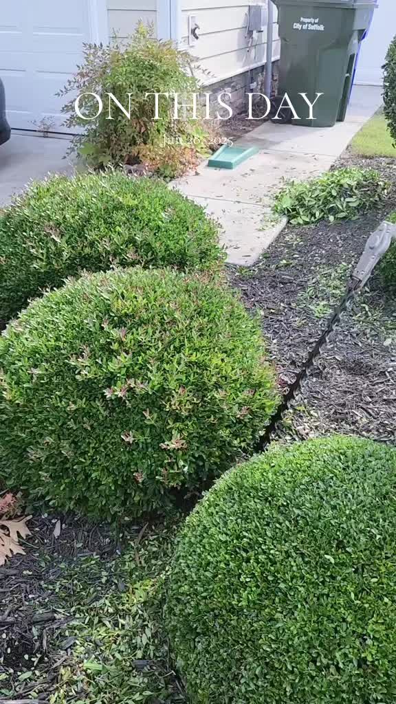 @hdez lawncare