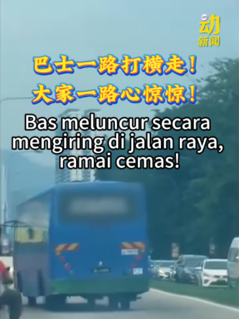 @中国报