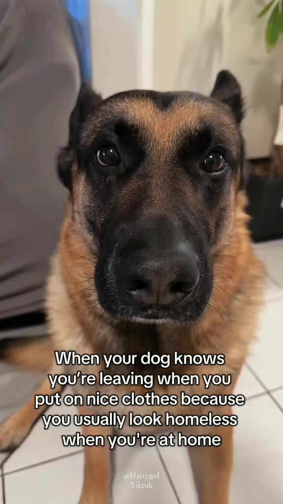 @Martygsd