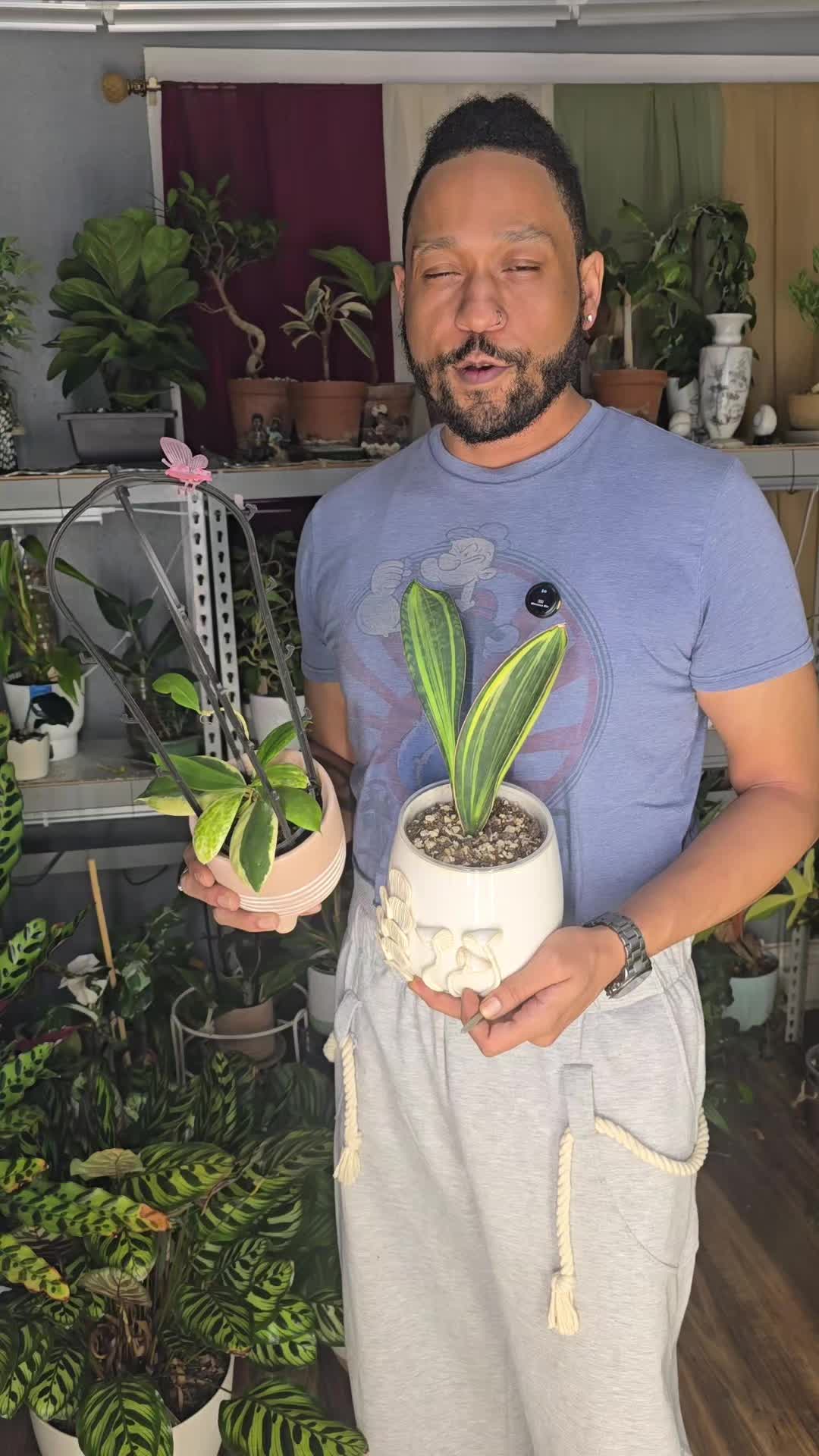 @JT - BigEGOPlants