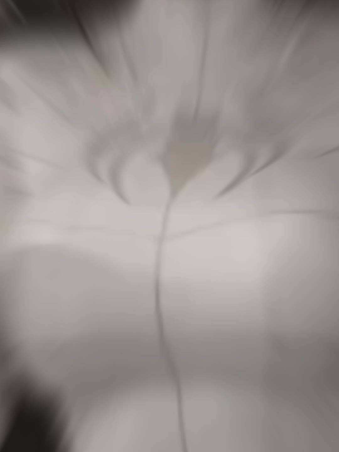 @BMW𓆩🖤𓆪