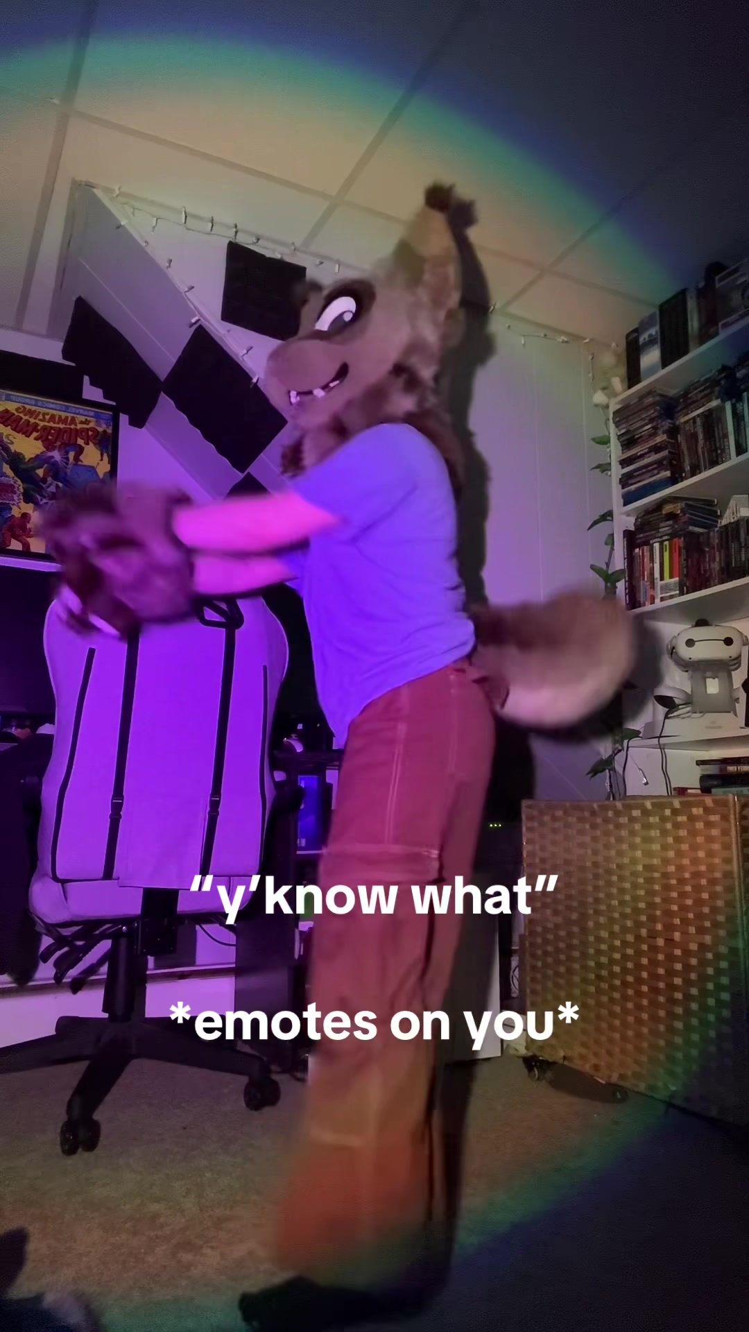 @bird.ie.bb