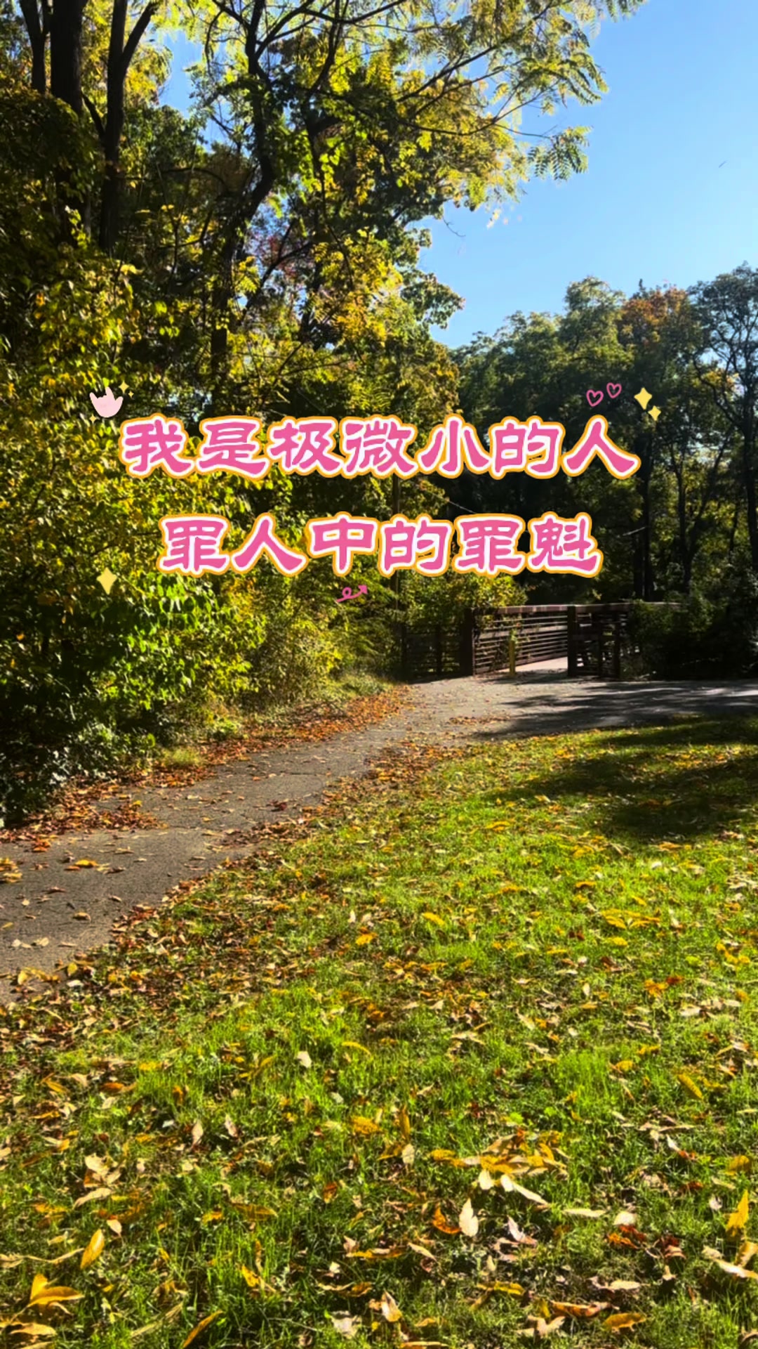 @奇哥
