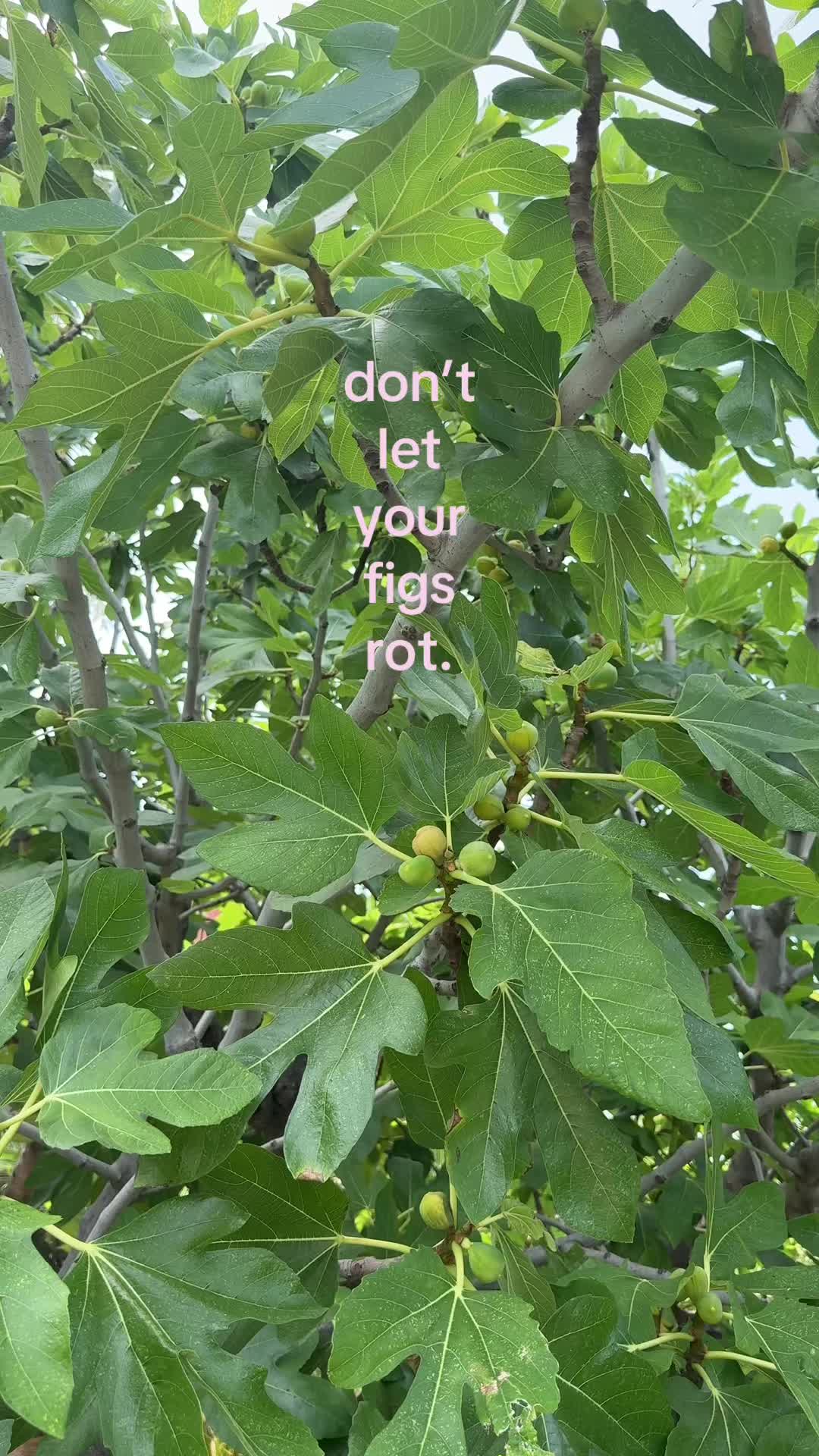 @mallory!