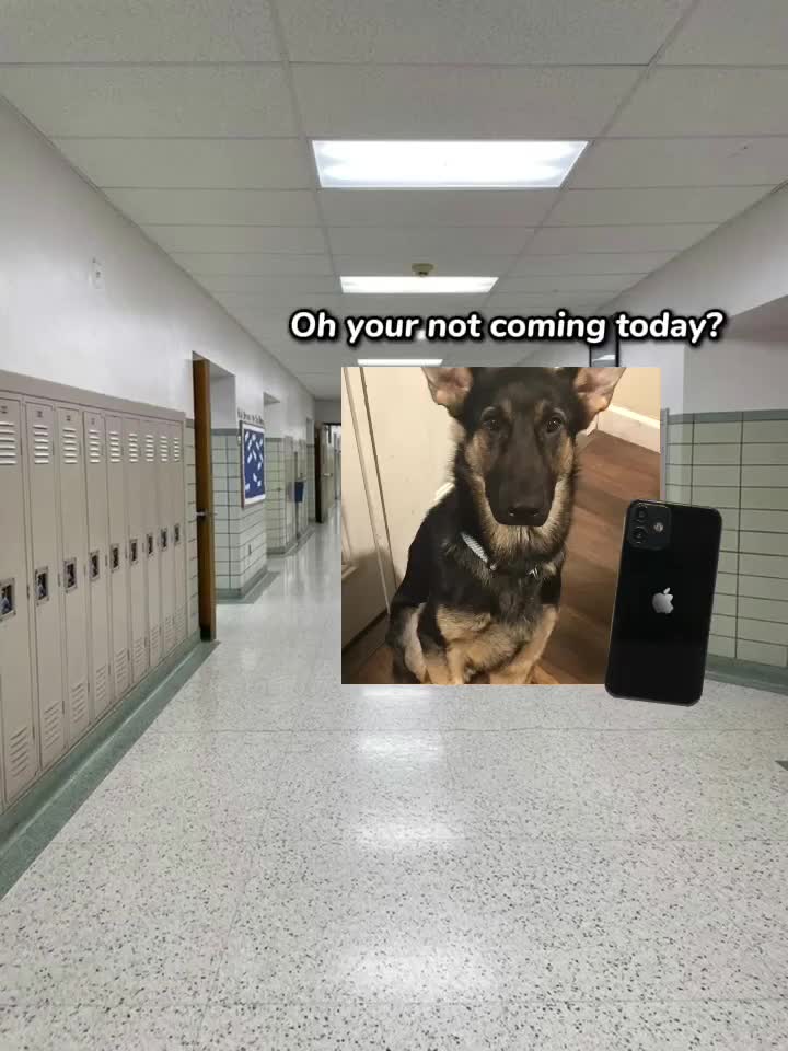 @senyiah