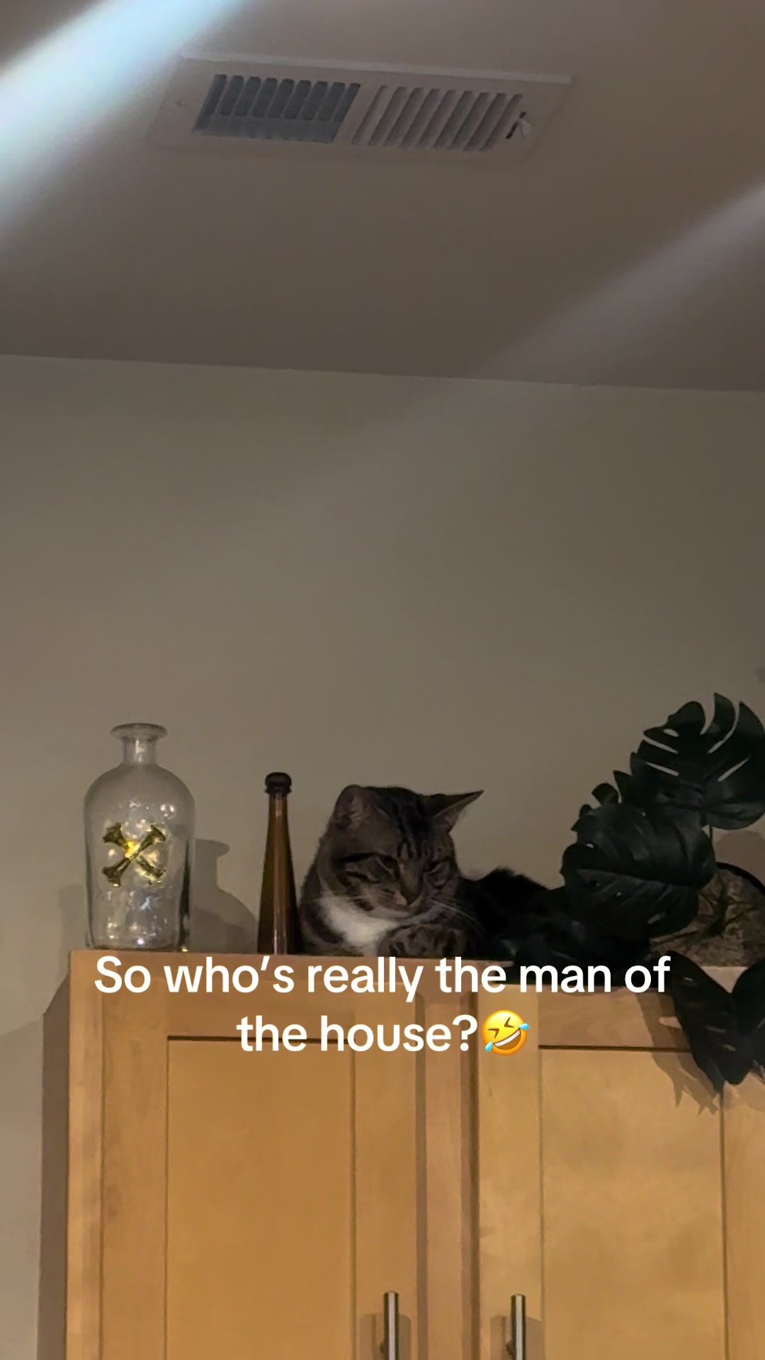 @Taka