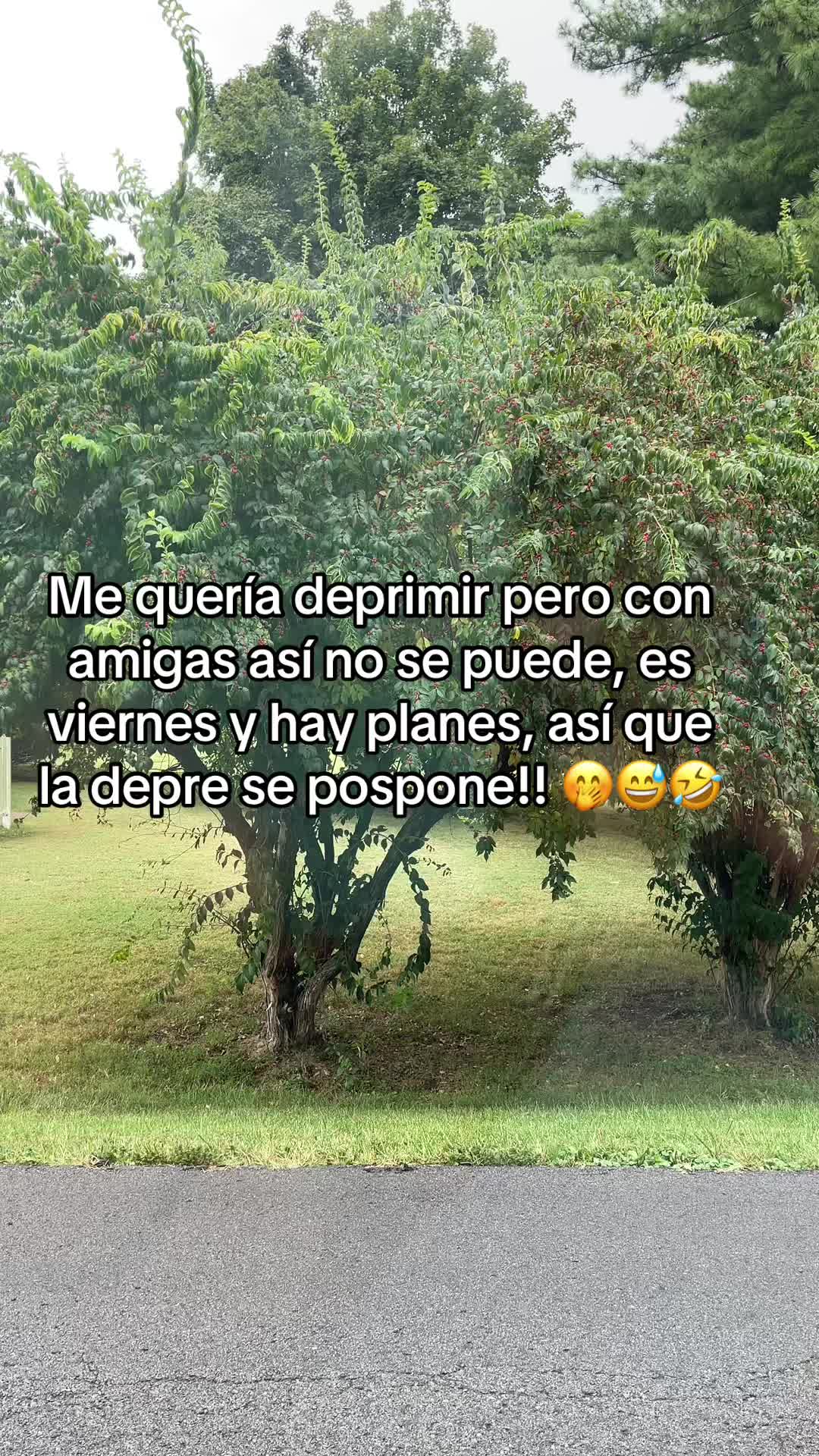 @Cinthya Sambrano