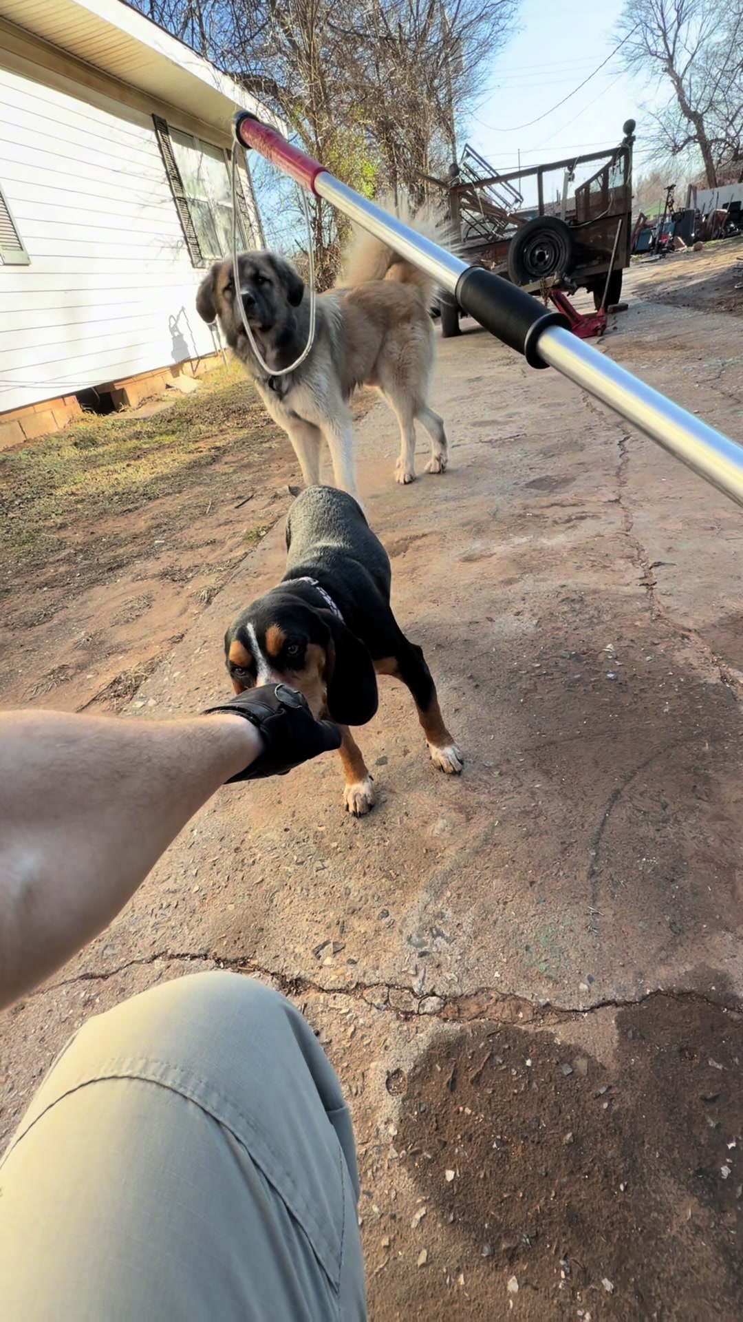 @AnimalWelfareGuy