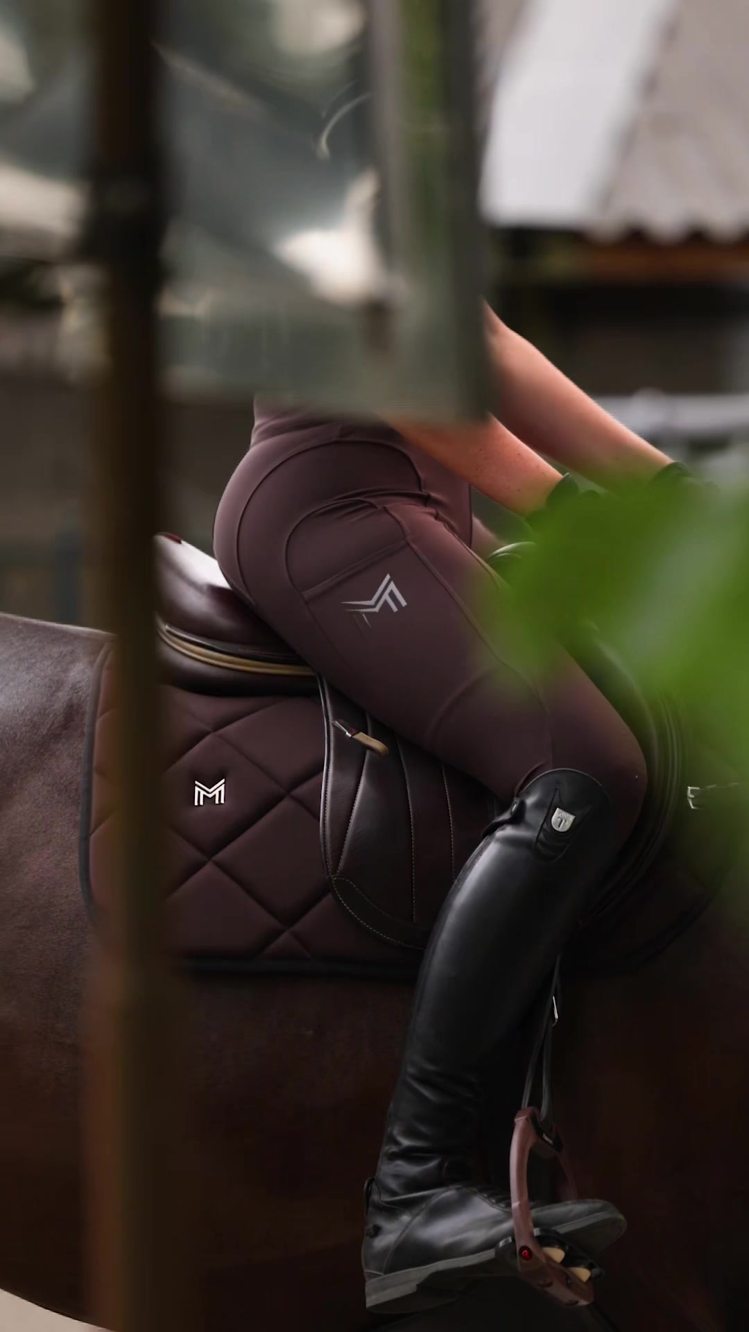 @Maximilian Equestrian