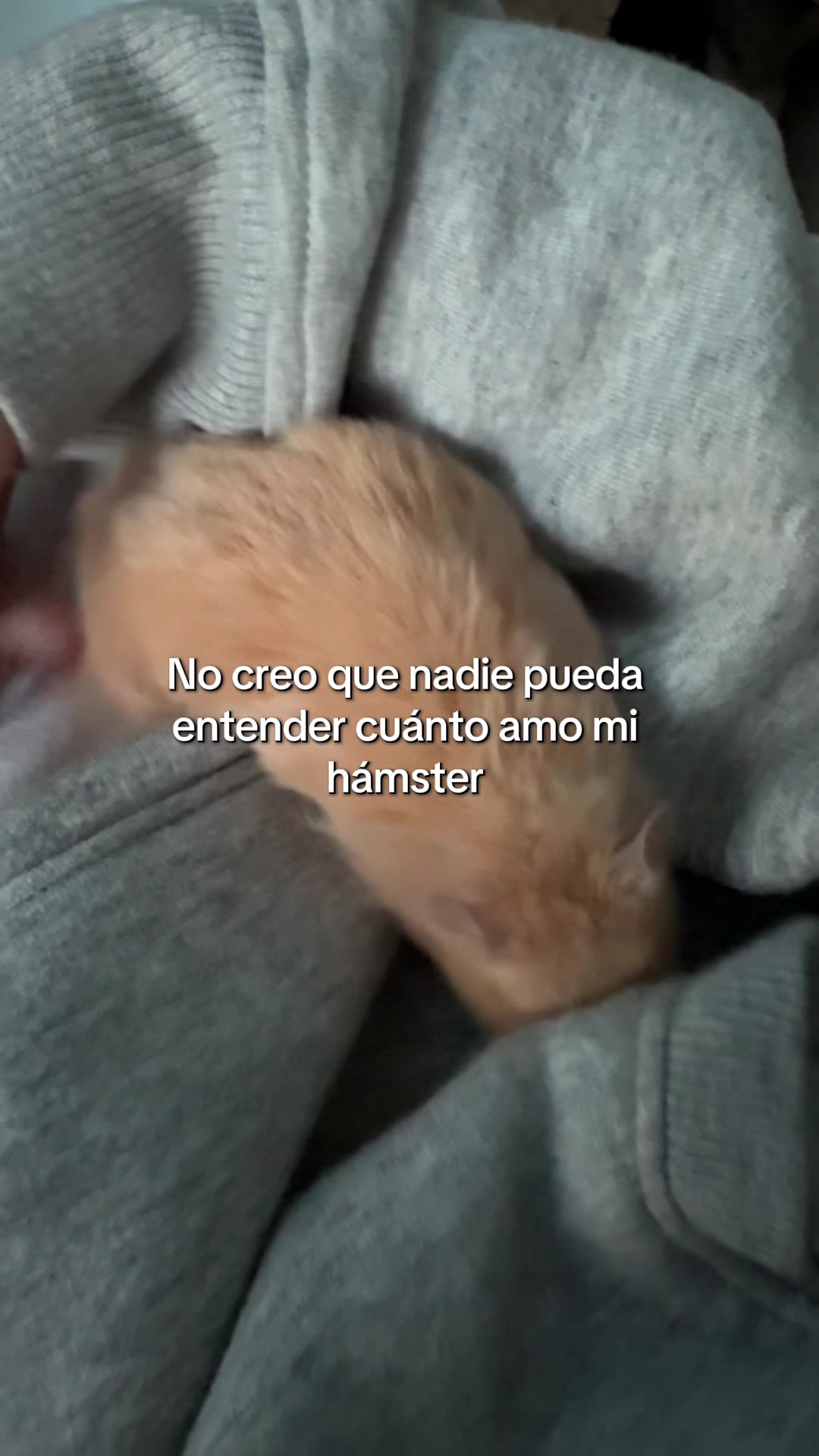 @𝓜