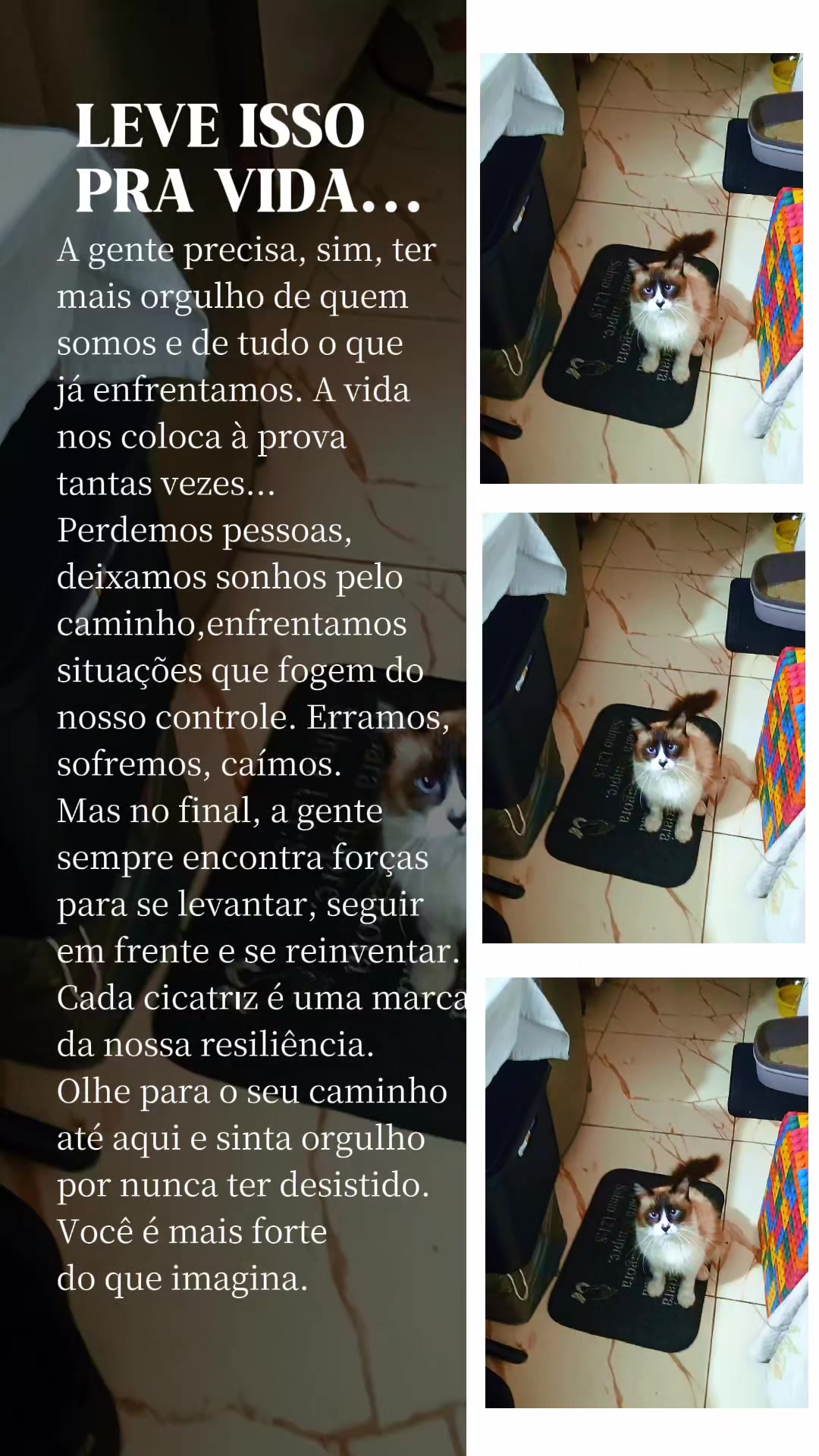 @Edimilson Alves
