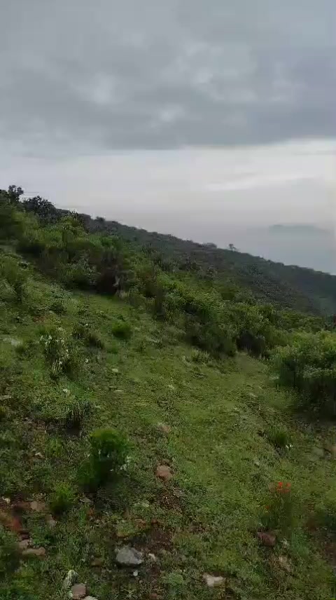 @SexyƤяıпc&epsilon;ƨƨ☆☆