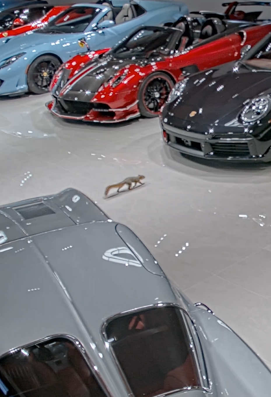 @The Triple F Collection