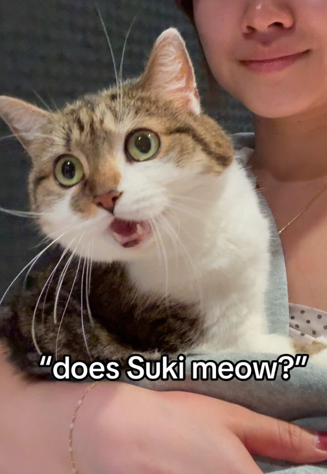 @Suki Purrs