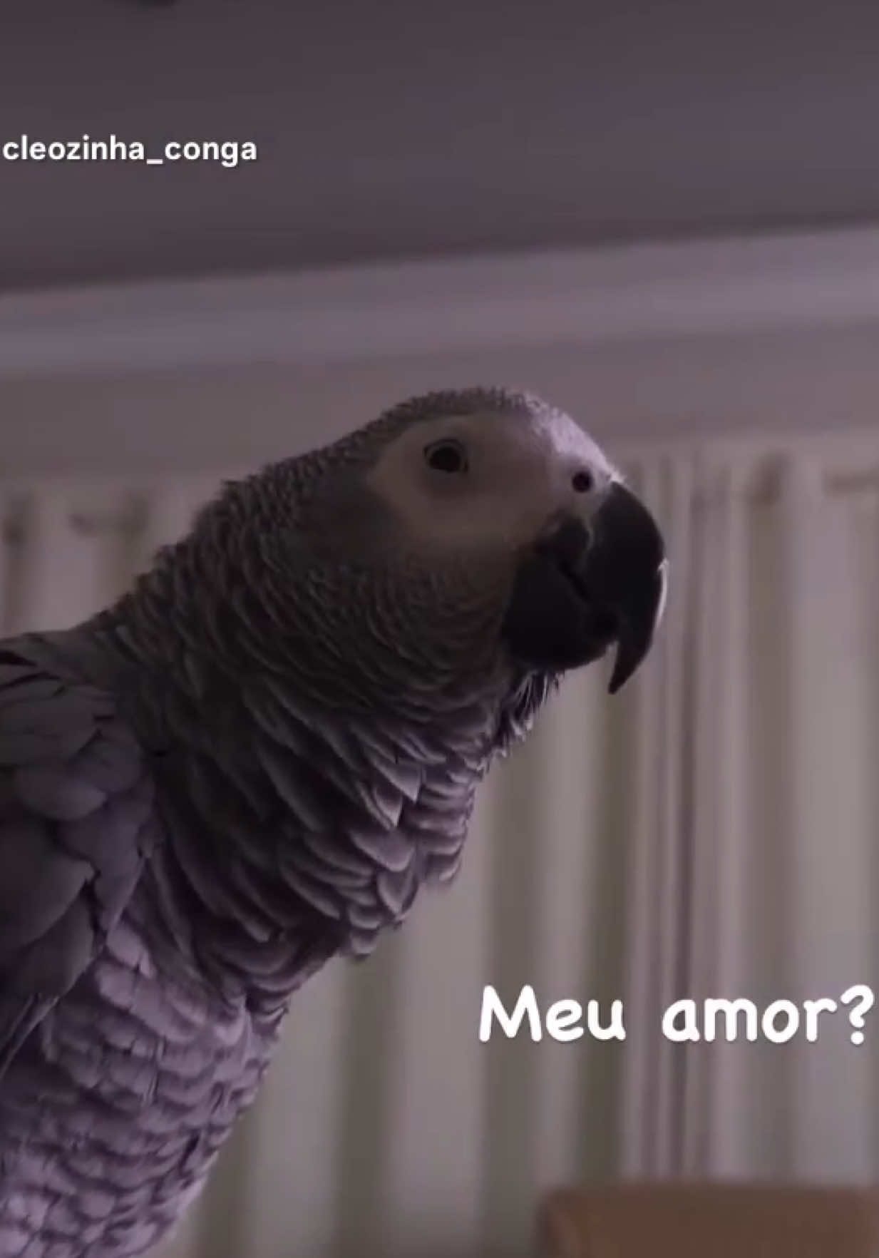 @Hágada Punk_Prin